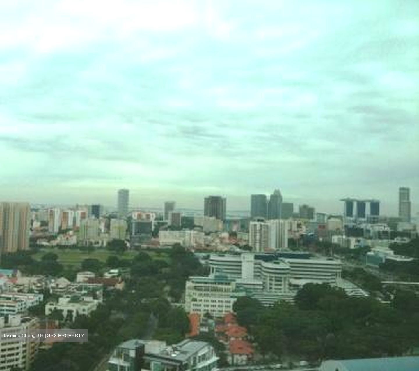 Park Infinia At Wee Nam (D11), Condominium #584427941